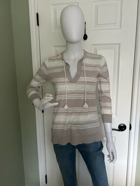LOFT Neutral Striped V-Neck Sweater in Taupe and Cream